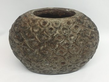 Foto 23 01 19 18 55 26