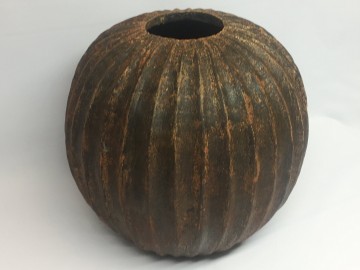 Foto 23 01 19 19 14 42 2